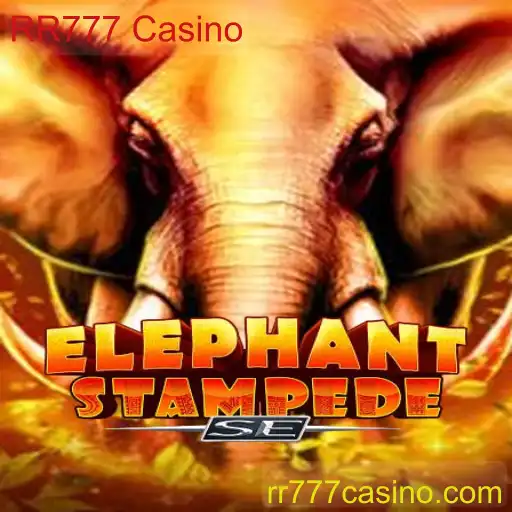 Descubra ElephantStampedeSE no RR777 Casino