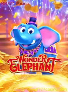 Descubra o Fascinante Mundo de WonderElephant no RR777 Casino